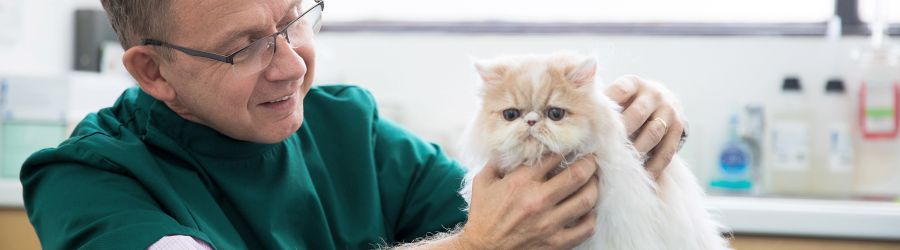 ISFM Cat Friendly Clinic